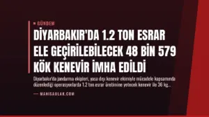 Diyarbakır’da 1.2 Ton Esrar Ele Geçirilebilecek 48 Bin 579 Kök Kenevir İmha Edildi