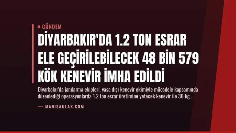 Diyarbakır’da 1.2 Ton Esrar Ele Geçirilebilecek 48 Bin 579 Kök Kenevir İmha Edildi