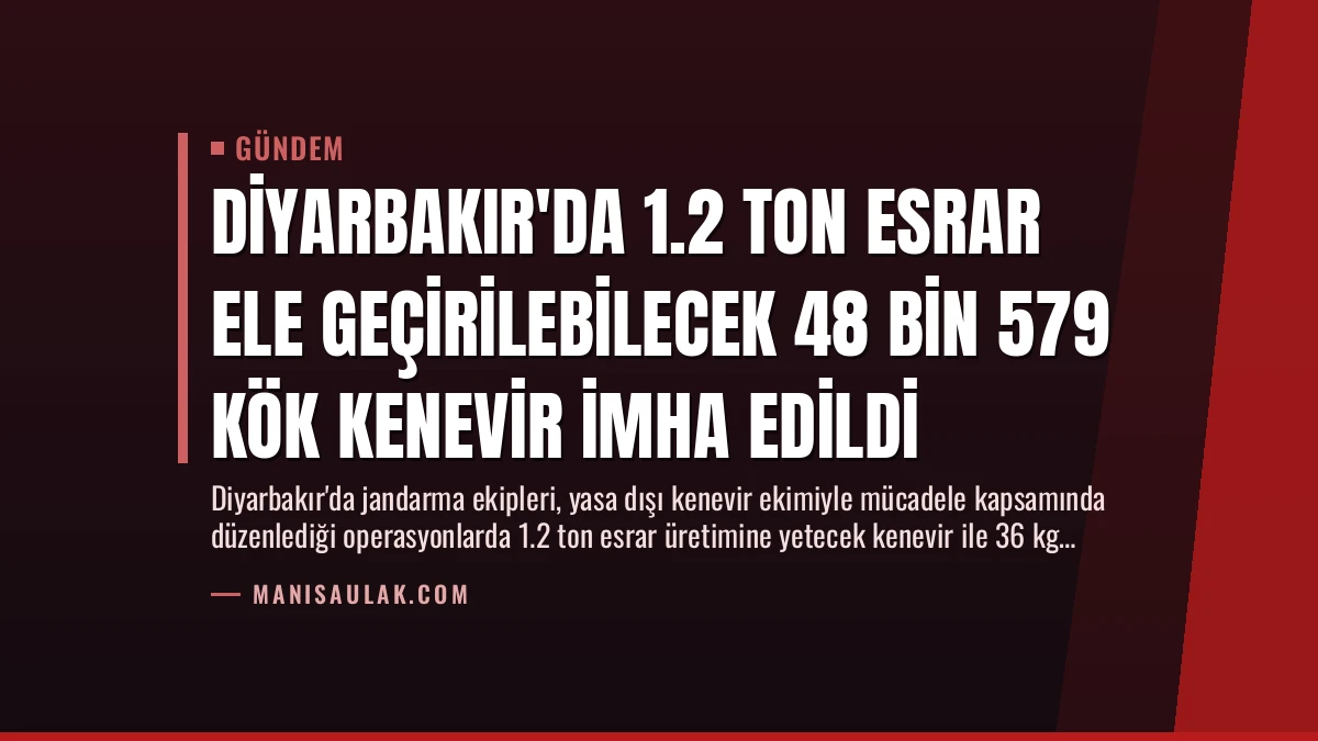 Diyarbakır’da 1.2 Ton Esrar Ele Geçirilebilecek 48 Bin 579 Kök Kenevir İmha Edildi