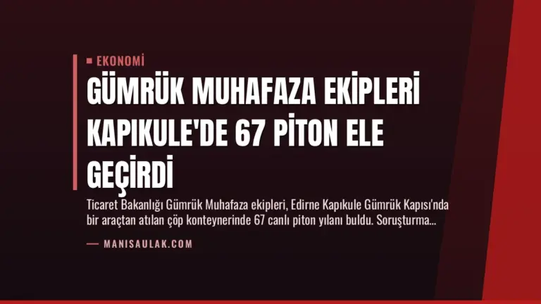 Gümrük Muhafaza Ekipleri Kapıkule’de 67 Piton Ele Geçirdi
