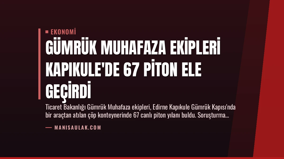 Gümrük Muhafaza Ekipleri Kapıkule’de 67 Piton Ele Geçirdi