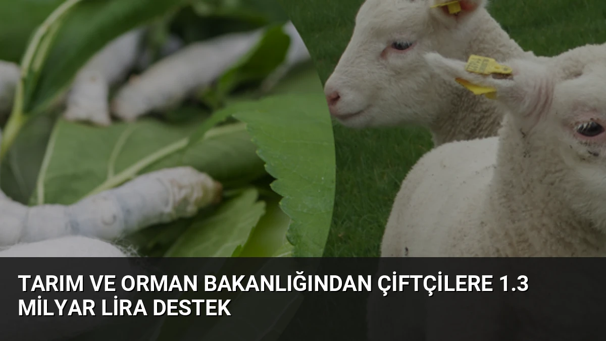Tarım ve Orman Bakanlığından Çiftçilere 1.3 Milyar Lira Destek