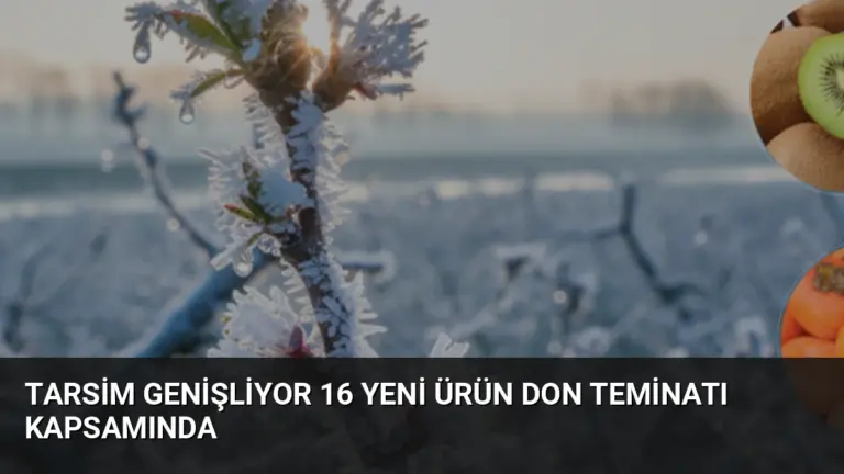 TARSİM Genişliyor 16 Yeni Ürün Don Teminatı Kapsamında